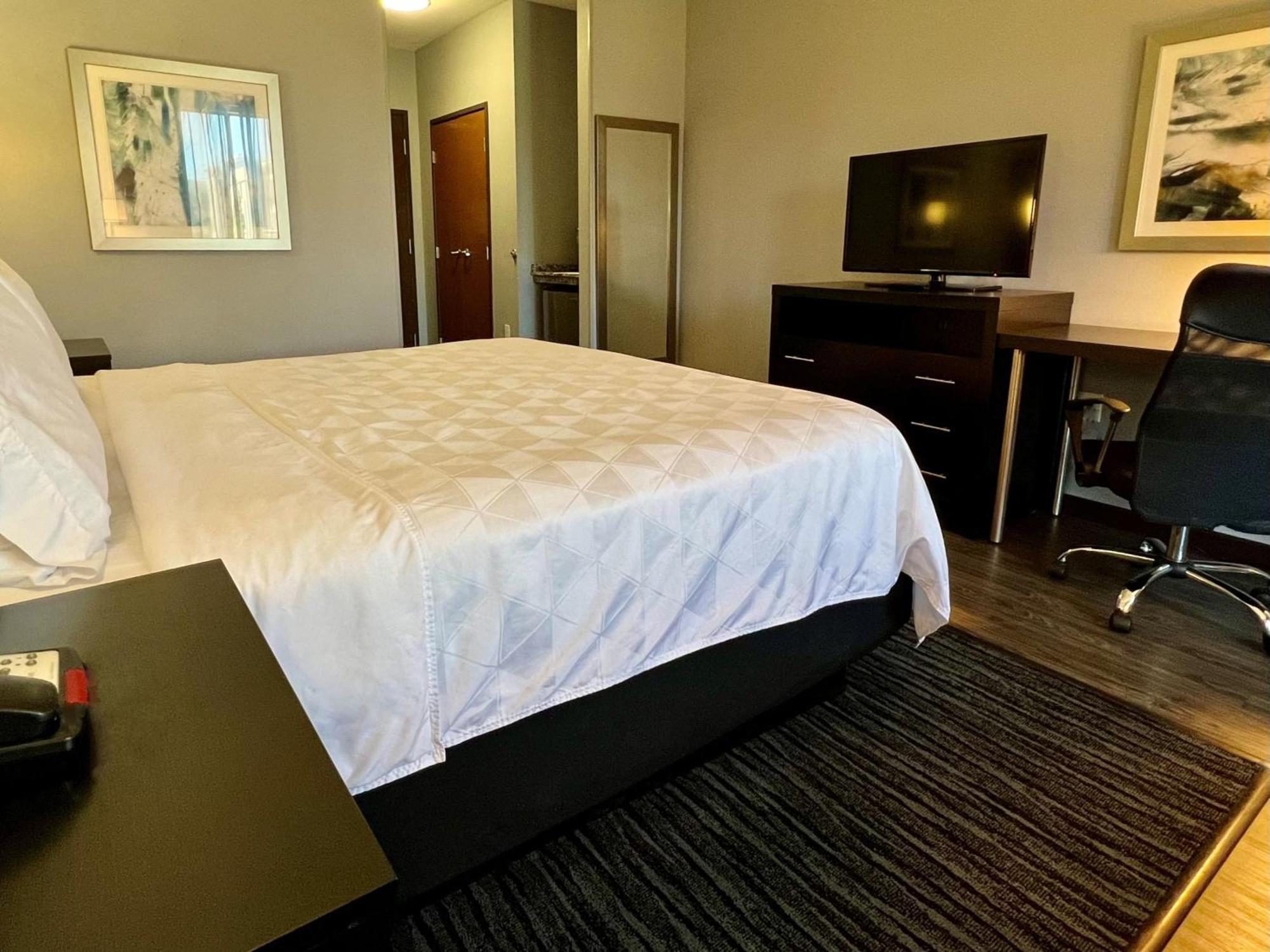 Holiday Inn Carlsbad/San Diego By Ihg Esterno foto